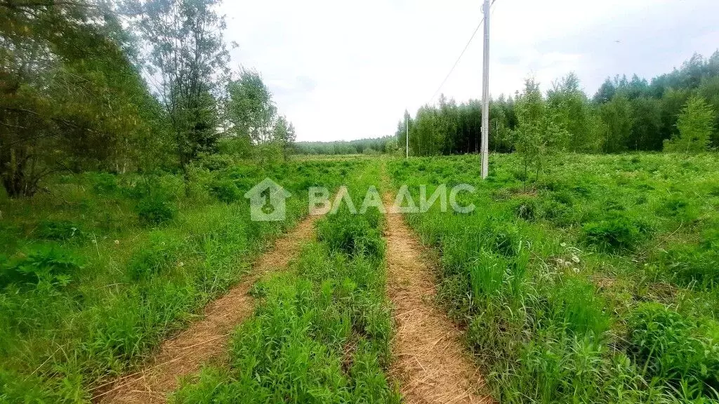 Участок в Нижегородская область, Городецкий муниципальный округ, д. ... - Фото 1