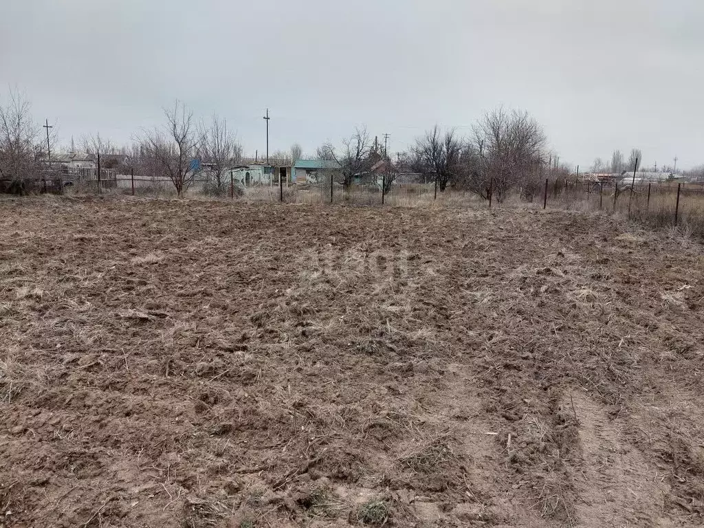 Участок в Волгоградская область, Среднеахтубинский район, Клетское ... - Фото 0