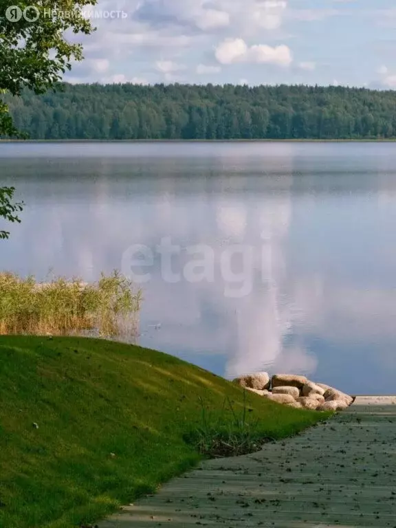 Участок в Ярославский муниципальный округ, деревня Коргиш (30 м) - Фото 1