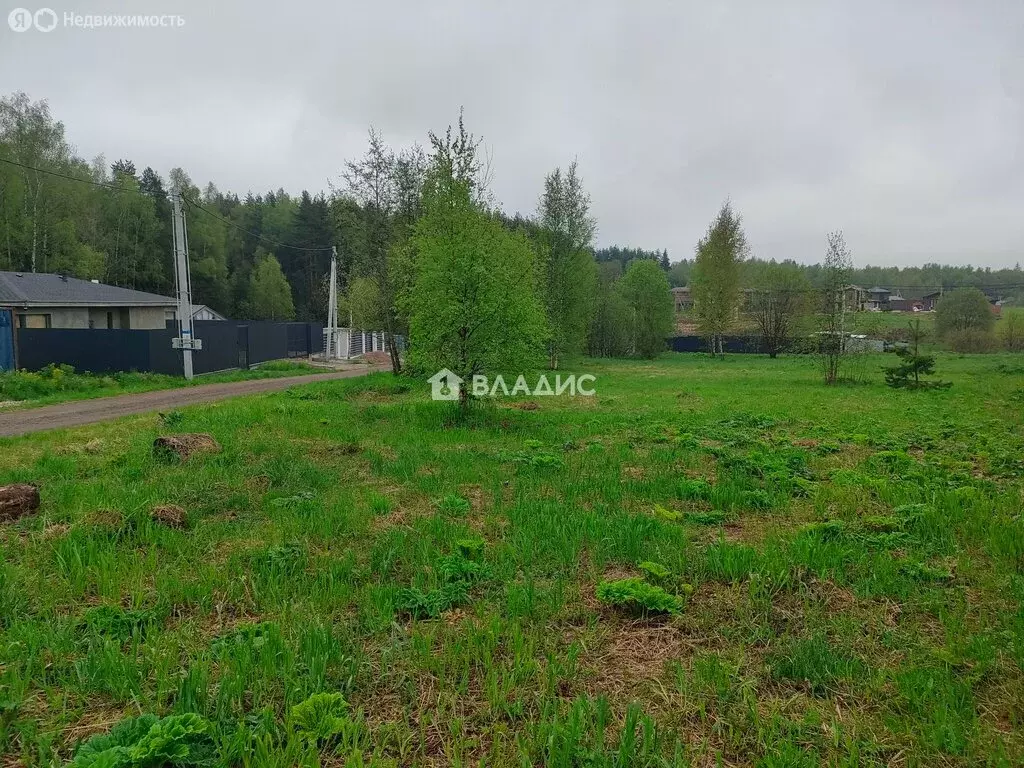 Участок в Московская область, городской округ Щёлково, территория ... - Фото 1