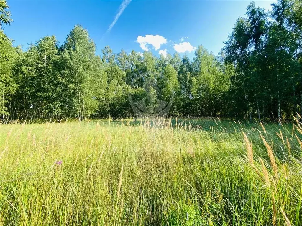 Участок в Рязанская область, Рязанский район, Варсковское с/пос, пос. ... - Фото 2