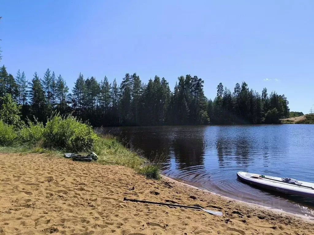 Дом в Ленинградская область, Сосновый Бор Молодежное кп,  (170 м) - Фото 2