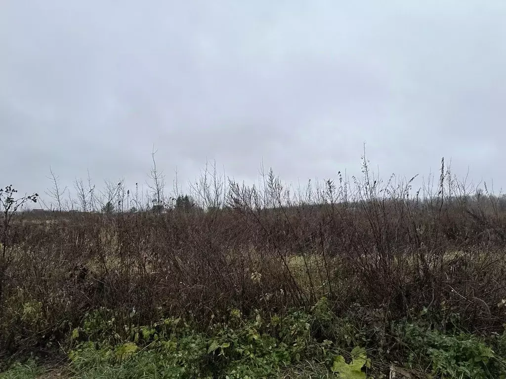 Участок в Московская область, Серебряные Пруды муниципальный округ, с. ... - Фото 1