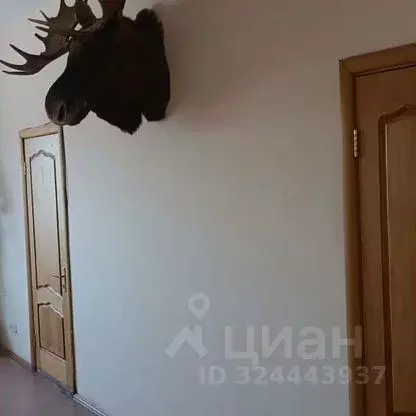 Офис в Тюменская область, Тюмень ул. Республики, 256к5 (29 м) - Фото 2