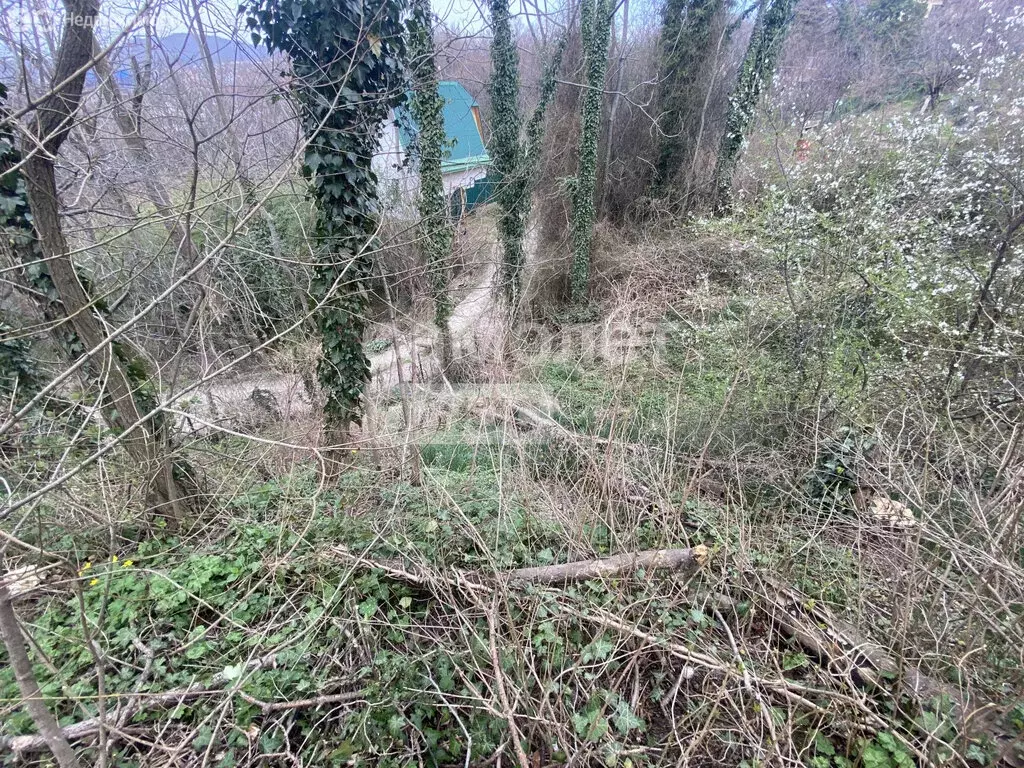 Участок в Туапсе, Звёздная улица, 11А (15.8 м) - Фото 2