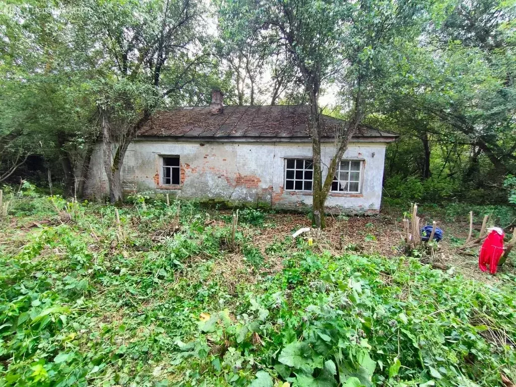 Дом в Буховое, улица Красный Октябрь, 53 (35.4 м) - Фото 0