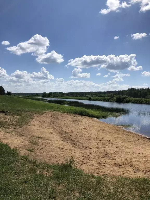 Дом в Ленинградская область, Лужский район, Толмачевское городское ... - Фото 1