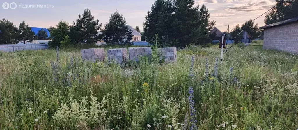 Участок в село Кумово, Буйская улица, 27 (12 м) - Фото 1
