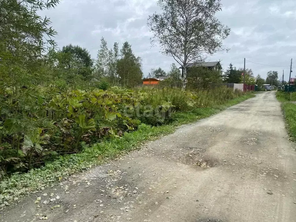 Участок в Сахалинская область, Южно-Сахалинск Дельфин СНТ,  (12.3 ... - Фото 0