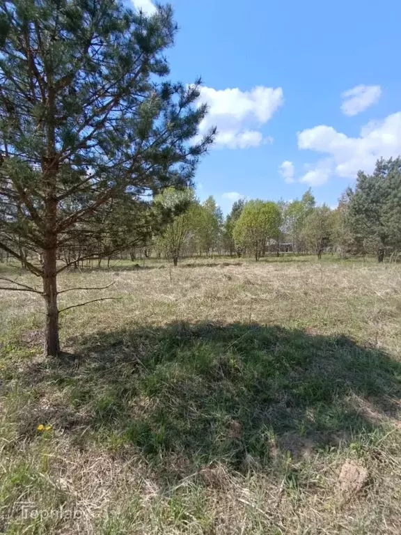 Участок в Калужская область, Малоярославецкий район, Кудиново с/пос, ... - Фото 1