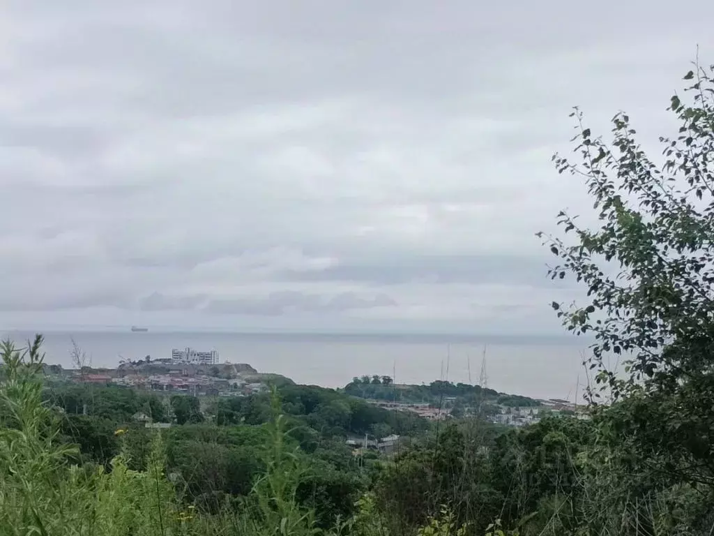 Участок в Приморский край, Находка Поселок Ливадия мкр,  (2500.0 сот.) - Фото 0