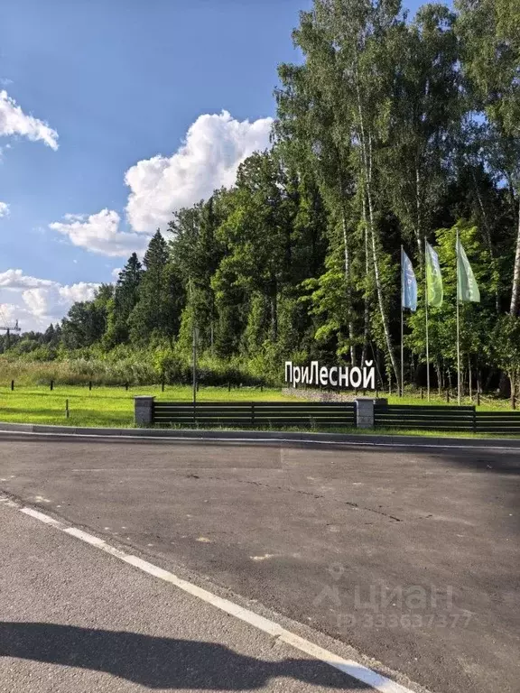 Участок в Московская область, Мытищи городской округ, д. Фелисово, ... - Фото 1