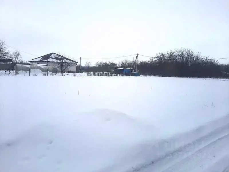 Участок в Белгородская область, Строитель Яковлевский городской округ, ... - Фото 2