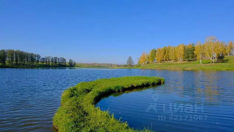 Участок в Тульская область, Заокский район, Демидовское муниципальное ... - Фото 0