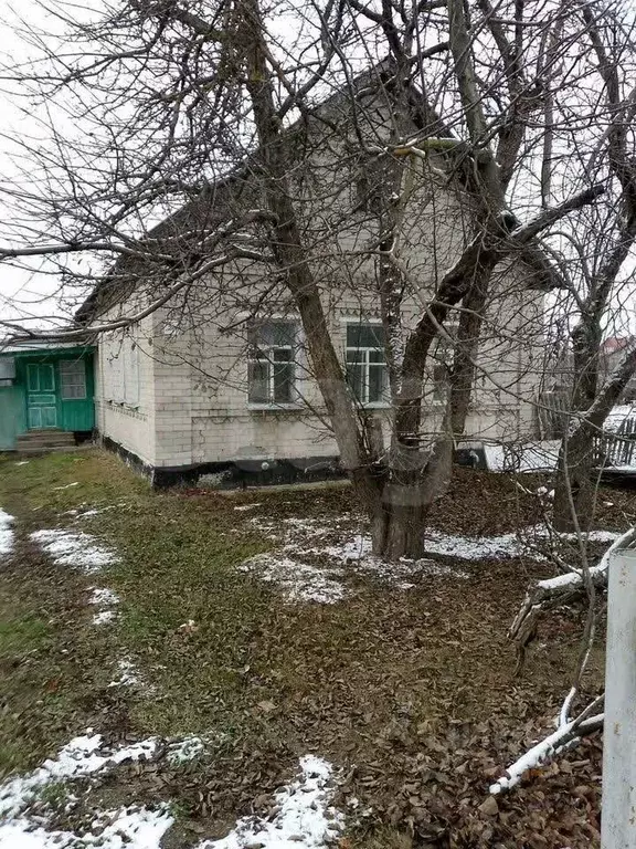 Дом в Липецкая область, с. Доброе пер. Набережный, 16 (50 м) - Фото 1