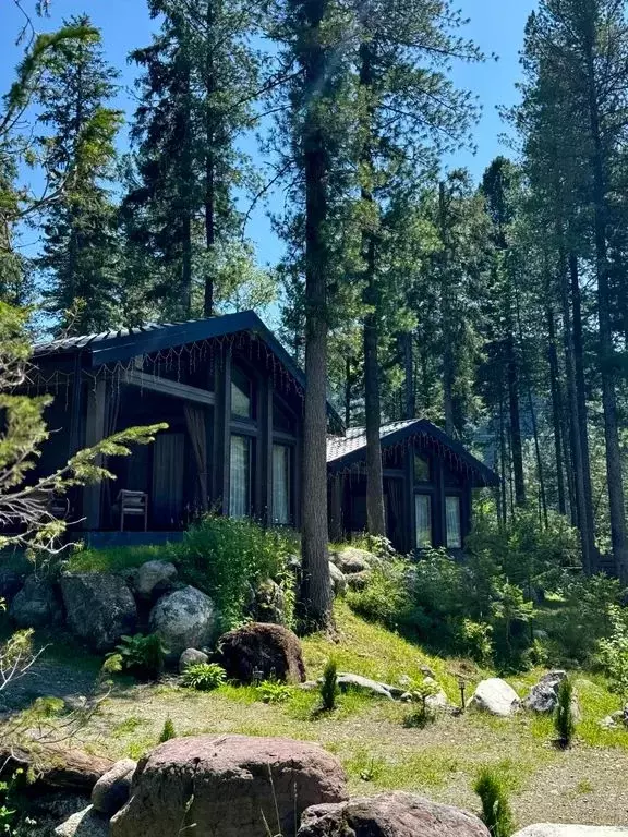 Дом в Алтай, Турочакский район, с. Артыбаш пер. Еловый, 11 (40 м) - Фото 0