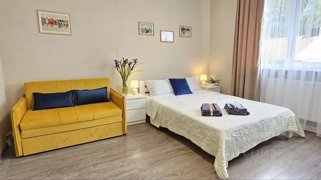 1-к кв. Калининградская область, Зеленоградск ул. Потемкина, 16 (31.0 ... - Фото 2