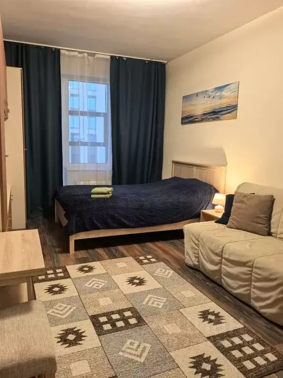 1-к кв. Санкт-Петербург Пулковское ш., 14Д (27.0 м) - Фото 1