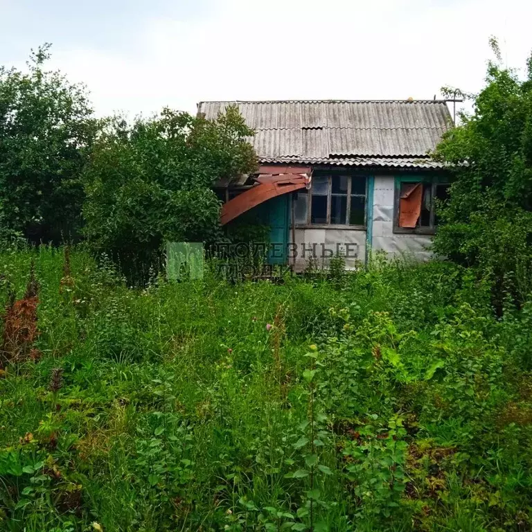 Участок в Саратовская область, Татищевский район, Ягодно-Полянское ... - Фото 1