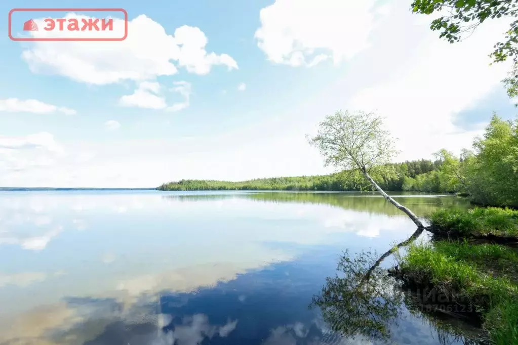 Дом в Карелия, Прионежский район, Гарнизонное с/пос, МВД Урозеро СНТ ... - Фото 0