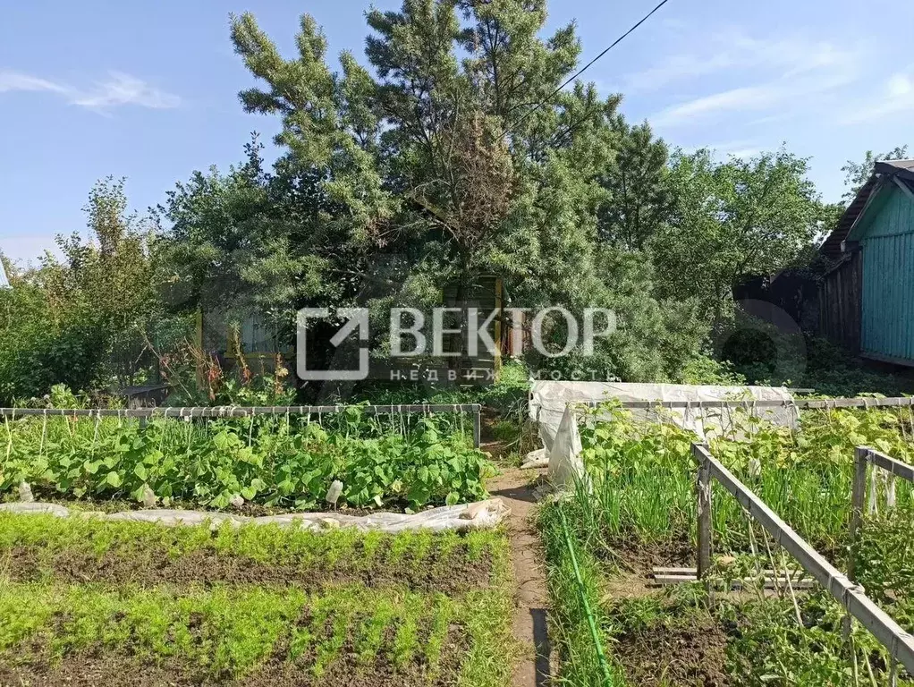 Участок в Костромская область, Кострома Текмаш СНТ,  (6.0 сот.) - Фото 0