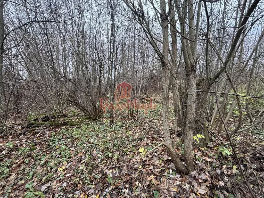 Участок в Владимирская область, Александровский муниципальный округ, ... - Фото 1