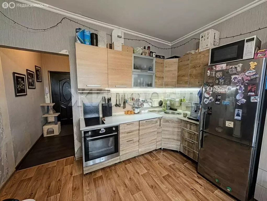 Квартира-студия: Новосибирск, улица Дмитрия Донского, 24/1 (25.1 м) - Фото 1