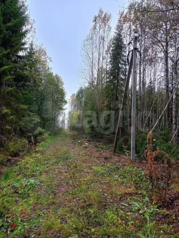 Участок 20 сот. (СНТ, ДНП) - Фото 0