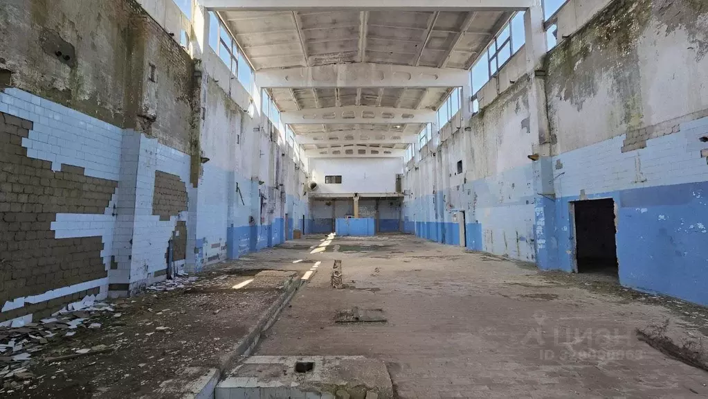 Производственное помещение в Нижегородская область, Дивеевский ... - Фото 1