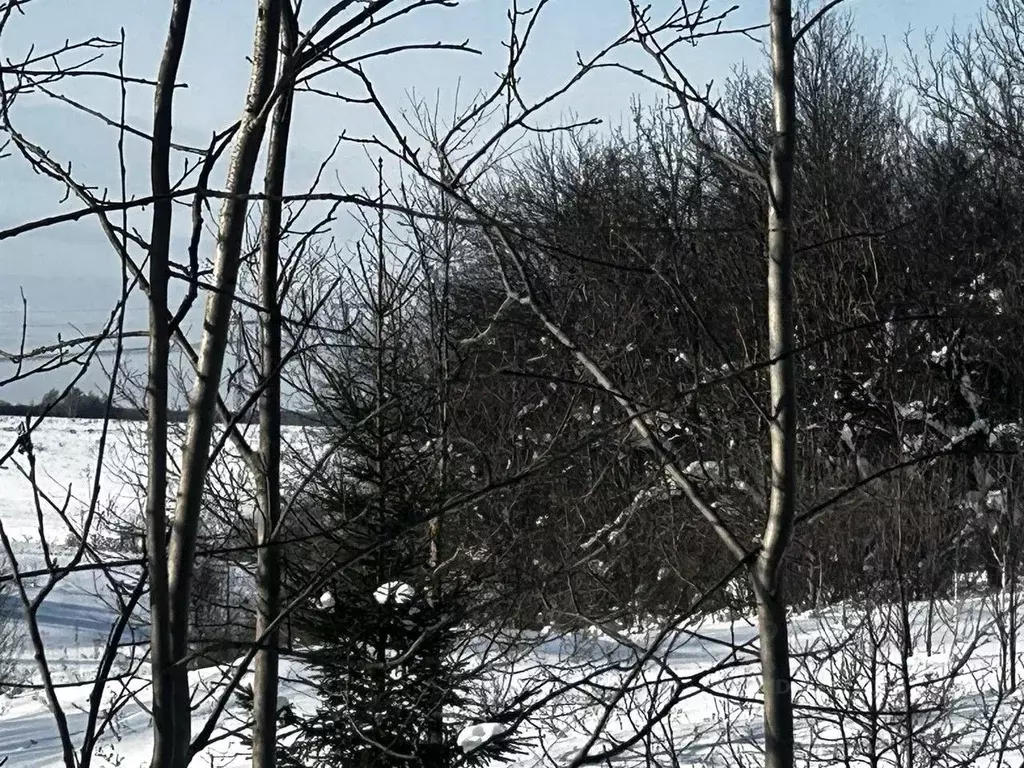 Участок в Московская область, Ступино городской округ, с. Большое ... - Фото 1