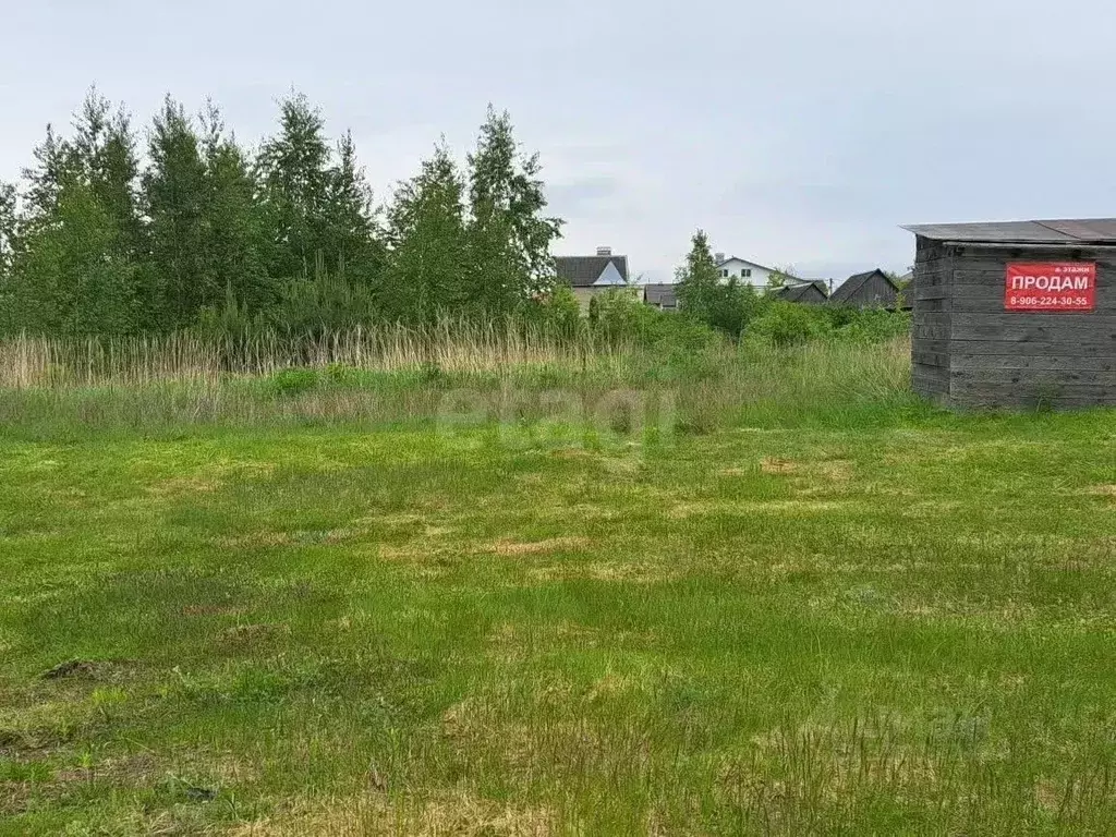 Участок в Псковская область, Псков Ступниково мкр, проезд ... - Фото 1