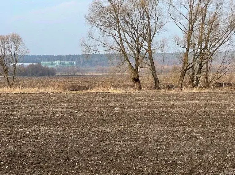 Участок в Московская область, Кашира городской округ, пос. Большое ... - Фото 0