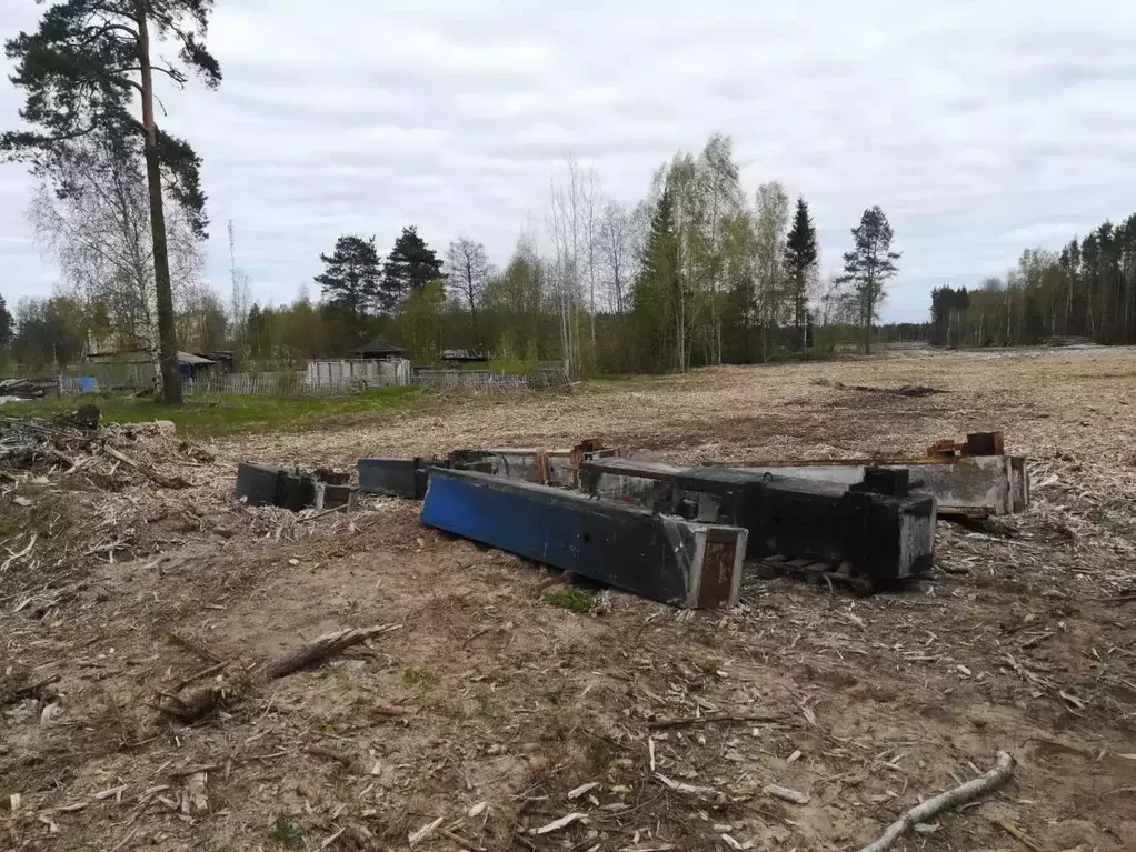 Участок в Ленинградская область, Кингисеппский район, пос. Усть-Луга, ... - Фото 2