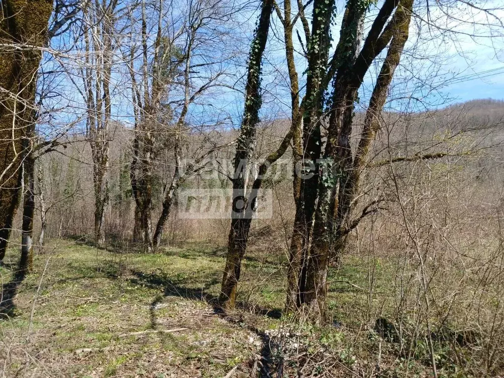 Участок в Краснодарский край, Туапсинский муниципальный округ, с. ... - Фото 2