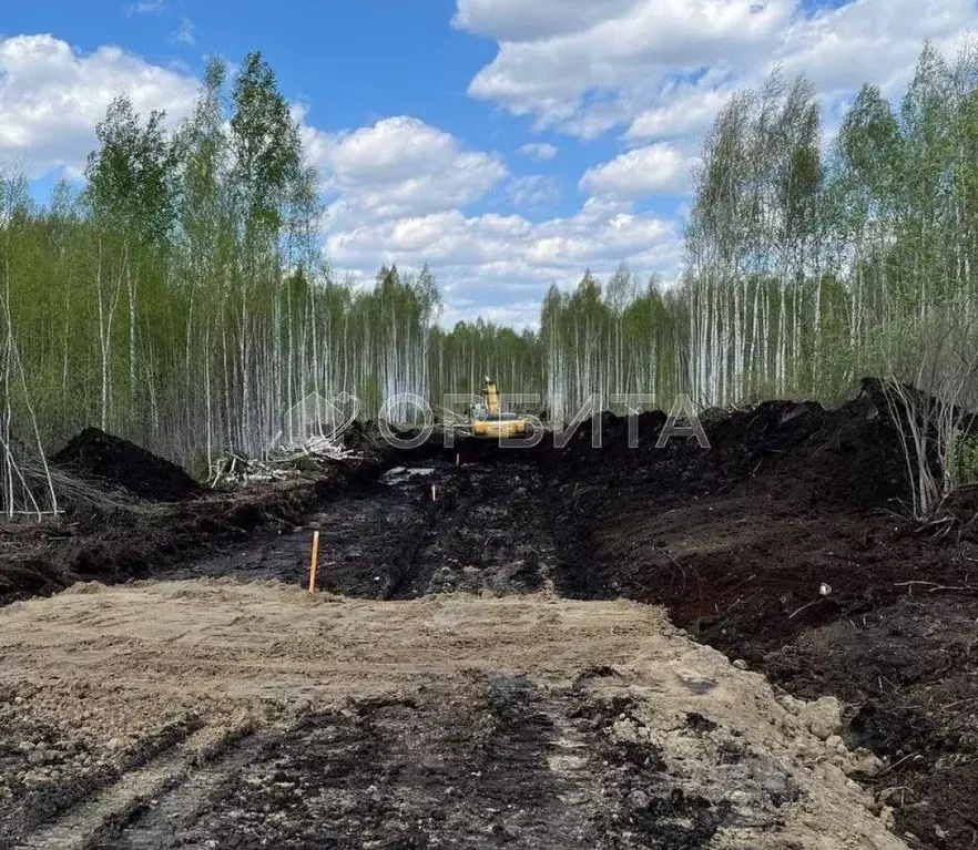 Участок в Тюменская область, Нижнетавдинский район, Строитель ТСН ул. ... - Фото 1