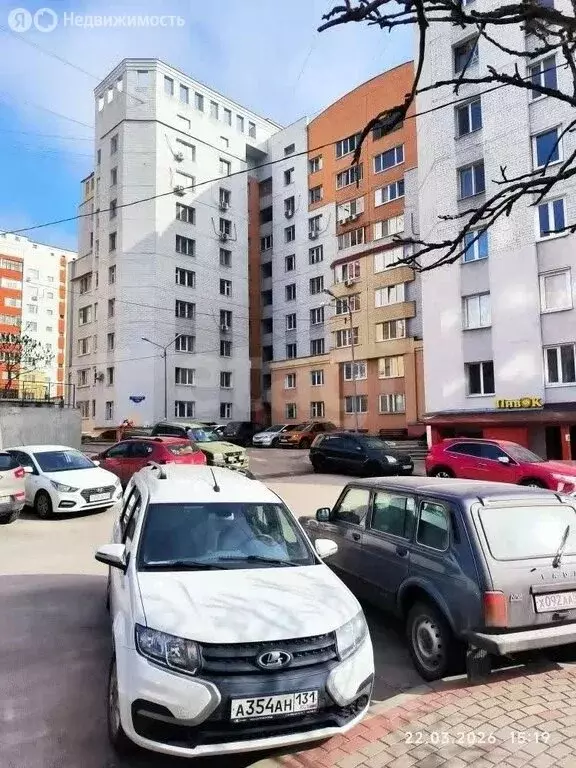 Торговая площадь (78.2 м) - Фото 2