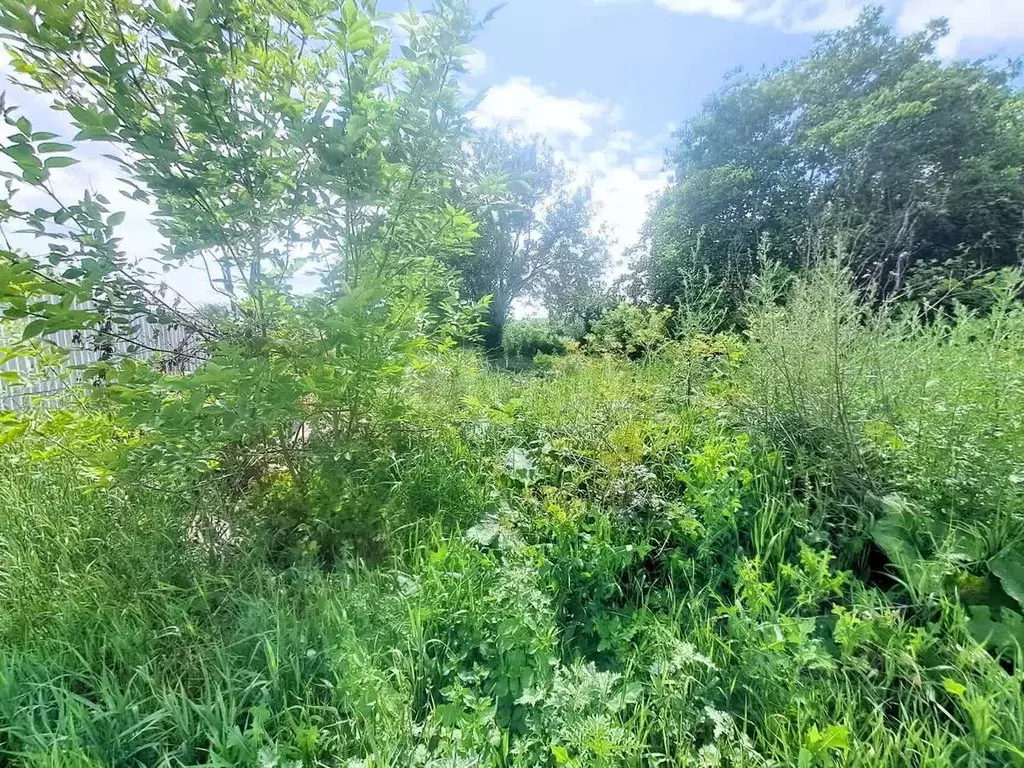 Участок в Белгородская область, Валуйки ул. Крюкова (12.9 сот.) - Фото 1
