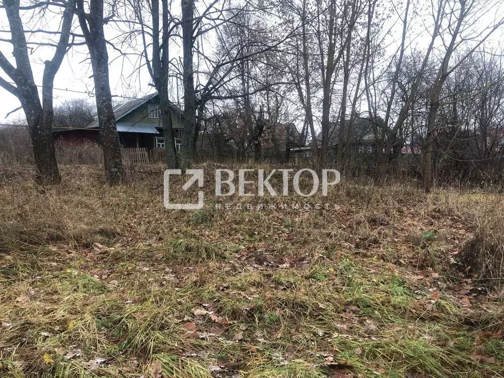 Участок в Ивановская область, Вичугский район, пос. Каменка ул. 25 ... - Фото 2