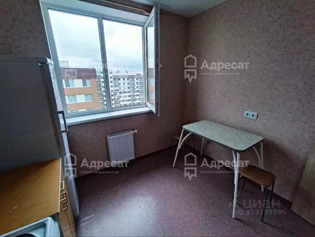 1-к кв. Волгоградская область, Волгоград ул. Быстрова, 273 (28.0 м) - Фото 1