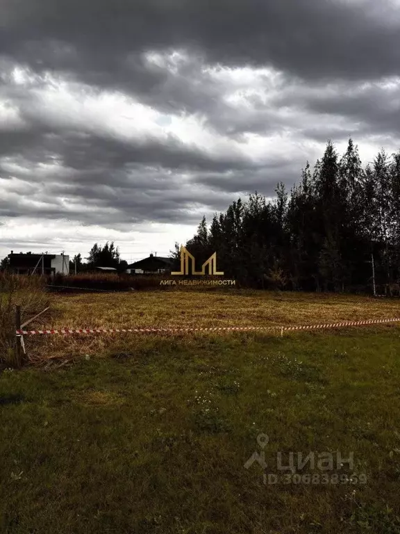 Участок в Ленинградская область, Ломоносовский район, д. Низино ул. ... - Фото 1