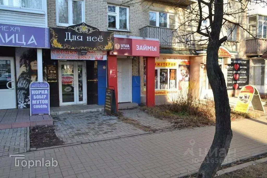 Торговая площадь в Тульская область, Новомосковск ул. Садовского, 13 ... - Фото 1