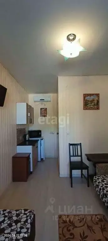 Студия Краснодарский край, Анапа муниципальный округ, с. Витязево ул. ... - Фото 1