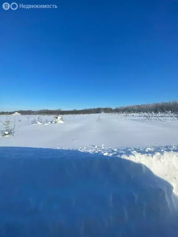 Участок в Вологодский муниципальный округ, село Первомайское, ... - Фото 1