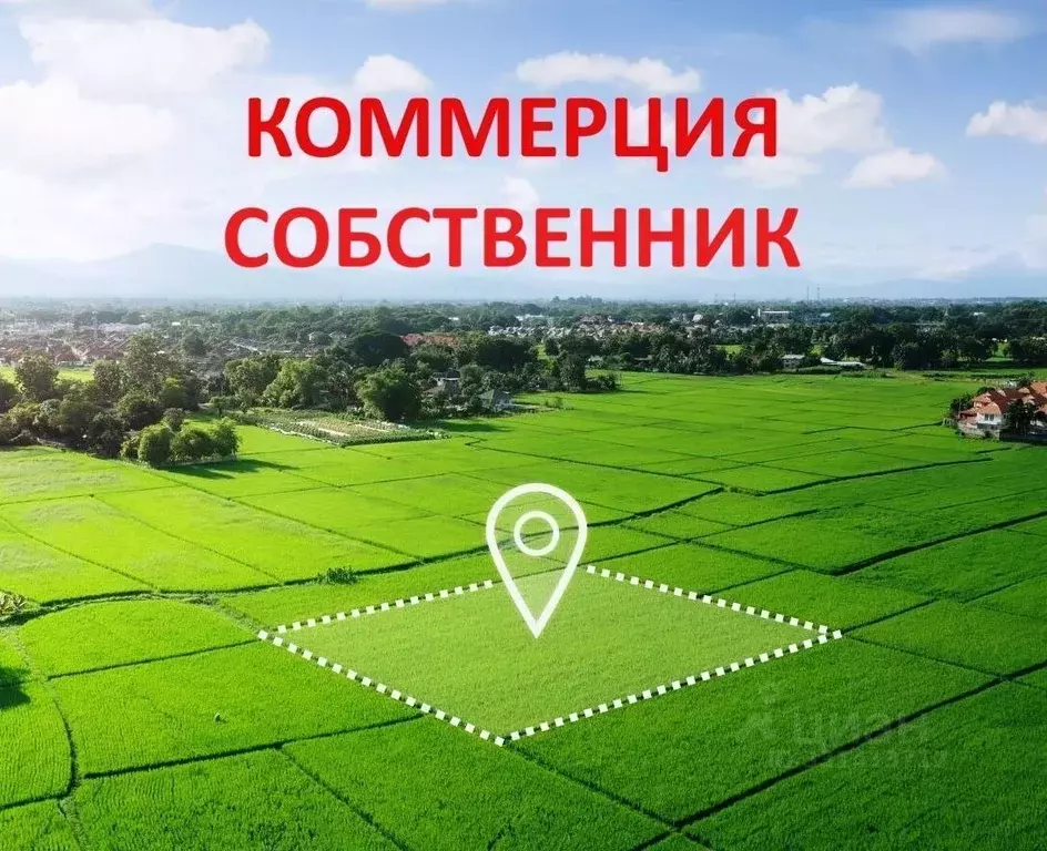 Участок в Краснодарский край, Выселковский район, Новобейсугское ... - Фото 1