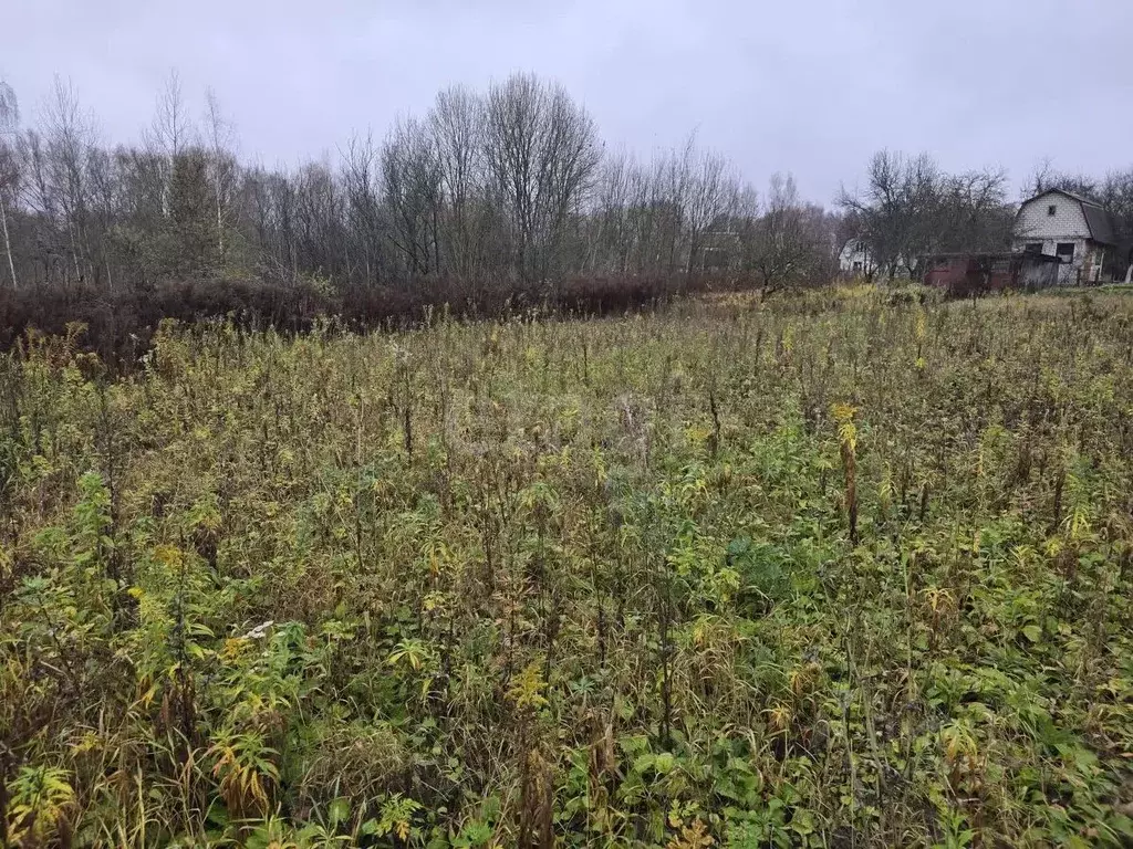 Участок в Брянская область, Брянский район, Снежское с/пос, с. ... - Фото 2