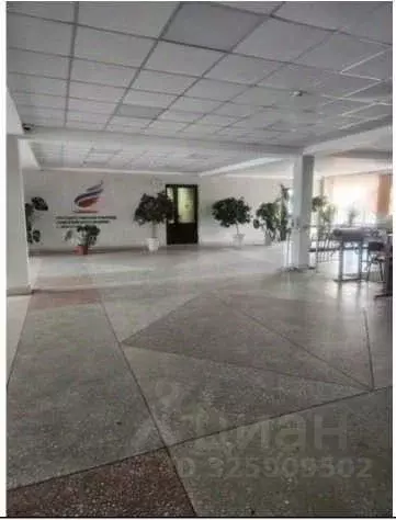 Помещение свободного назначения в Иркутская область, Иркутск ... - Фото 1