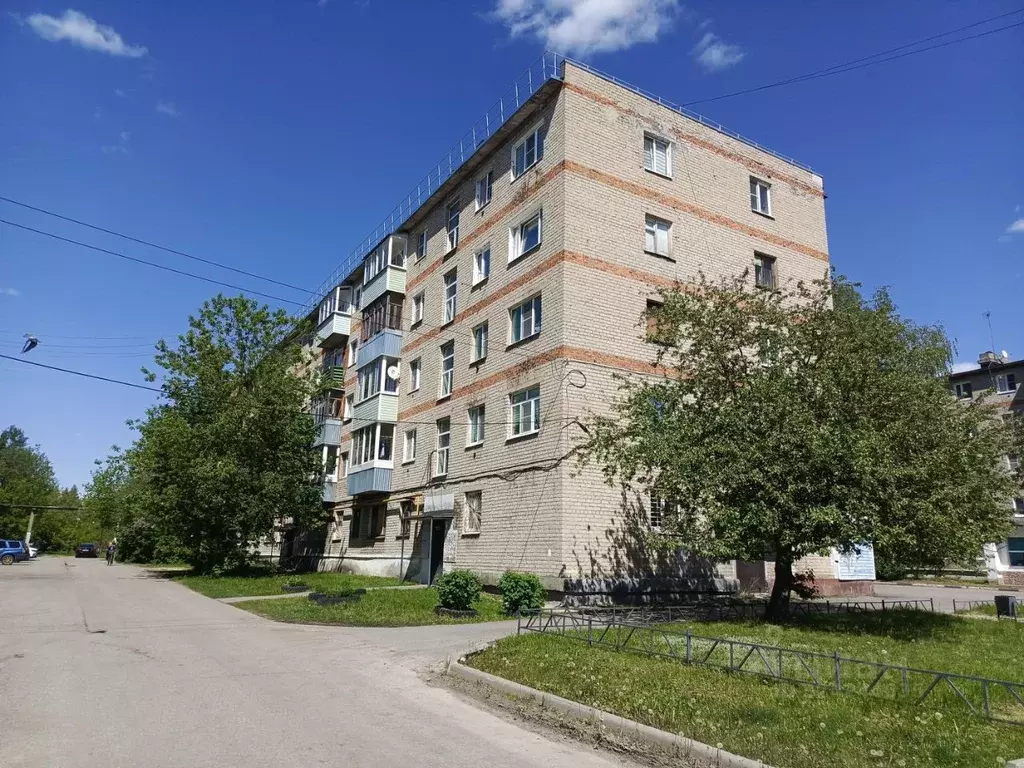 2-к кв. Московская область, Рошаль ул. Октябрьской Революции, 19/2 ... - Фото 1