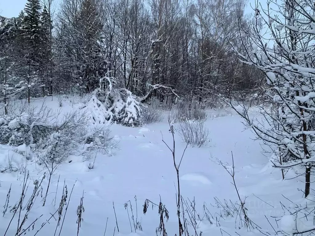 Участок в Московская область, Истра ул. Ленина, Река Истра (27.07 ... - Фото 0