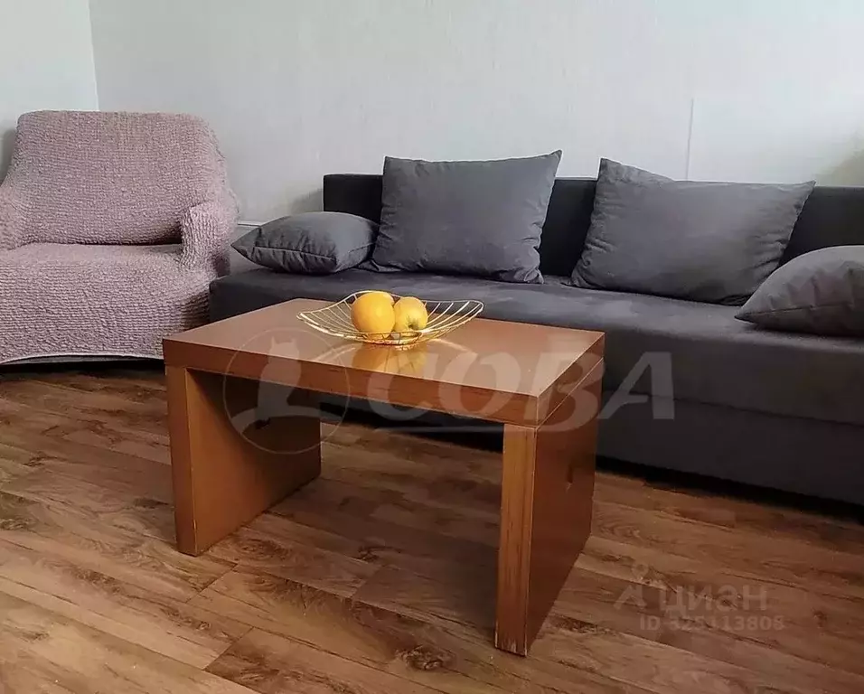 1-к кв. Тюменская область, Тюмень ул. 30 лет Победы, 105 (22.0 м) - Фото 1