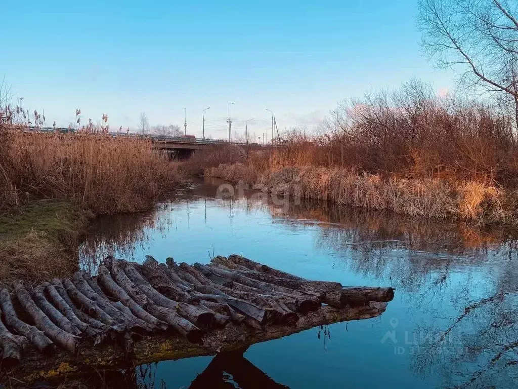 Участок в Воронежская область, Новоусманский район, пос. Отрадное ул. ... - Фото 0